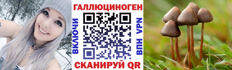 Псилоцибиновые грибы Cubensis  цены   Северская 